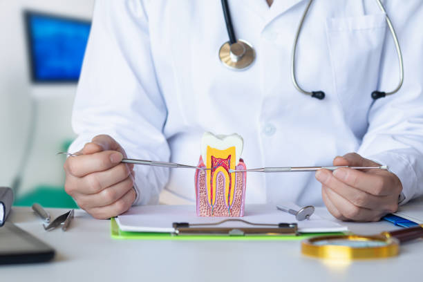 Best Emergency Dental Care for Abscessed Tooth in Edinburg, TX